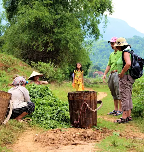 Rijstplukkers in Mai Chau