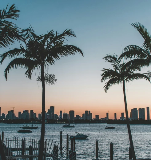 Tropisch Florida, Amerika