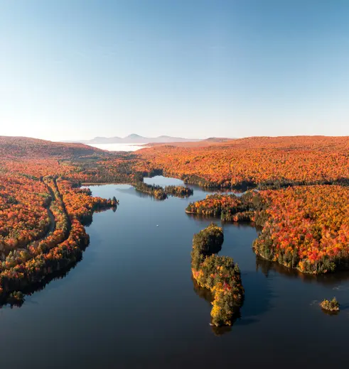 de prachtige herfstkleuren van Indian Summer in New England in Amerika