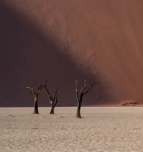 De Sossusvlei in Namibie