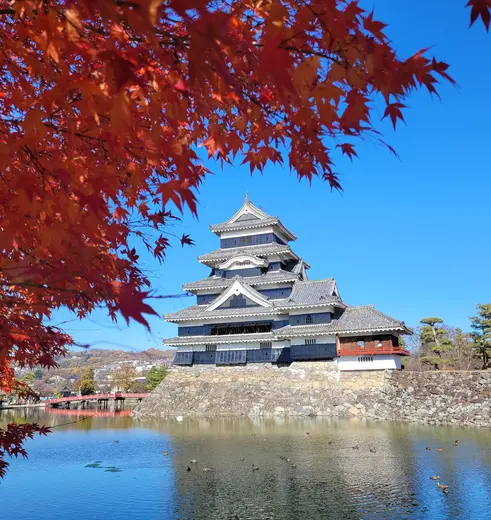Matsumoto kasteel omgeven door de Japanse herfstkleuren
