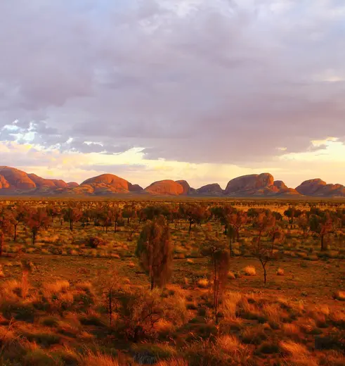 Kata Tjuta zonsondergang in de Outback van Australië