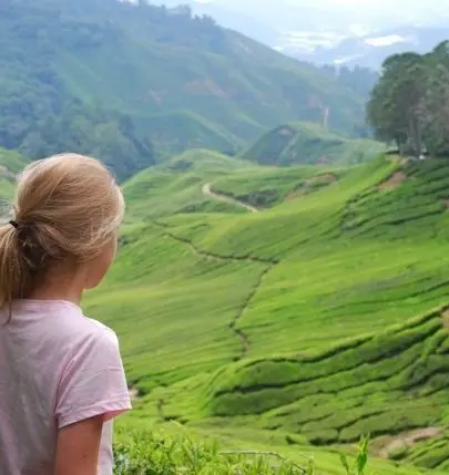 Meisje uitkijkend over de weidse theevelden van Cameron Highlands, Maleisie