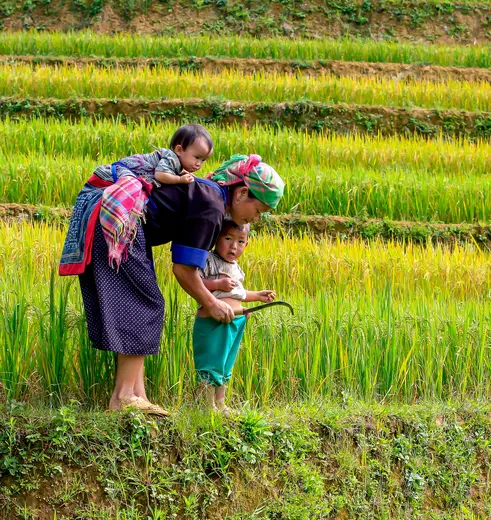 Bergstam gezin in Sapa, Noord-Vietnam