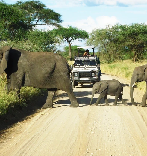 Op familie safari door Tanzania