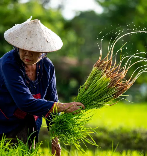 Ontdek de geheimen van Thailand tijdens deze veelzijdige rondreis