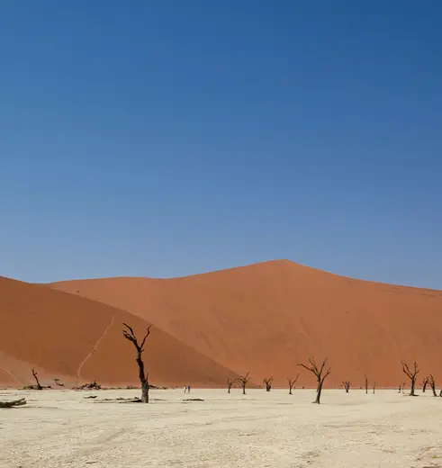 De prachtige Sossusvlei in Namibië ontdek je ook tijdens deze rondreis