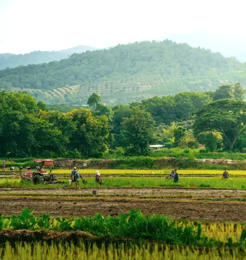 Fietsen over het platteland in Noord-Thailand