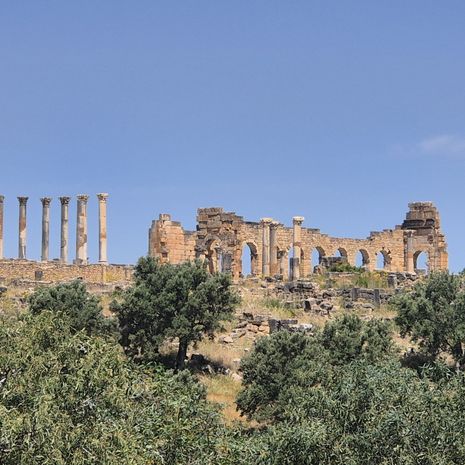 Romeinse overblijfselen bij Volubilis in Marokko