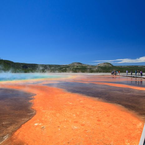 Yellowstone National Park in Amerika