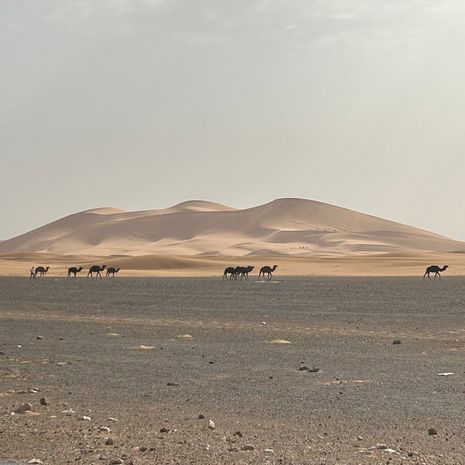 Je laat de Sahara achter je in Marokko