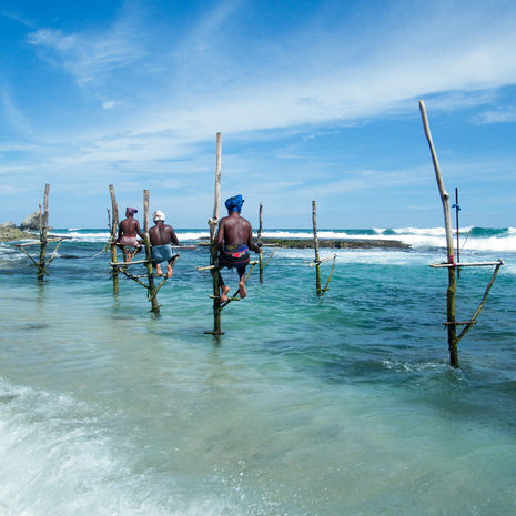 Paalvissers in het zuiden van Sri Lanka