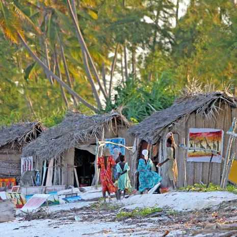 Amani Nature Reserve