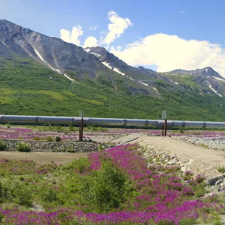 Trans-Alaska Pipeline