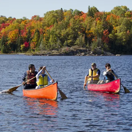 Algonquin Provincial Park een van de mooiste parken in Oost-Canada