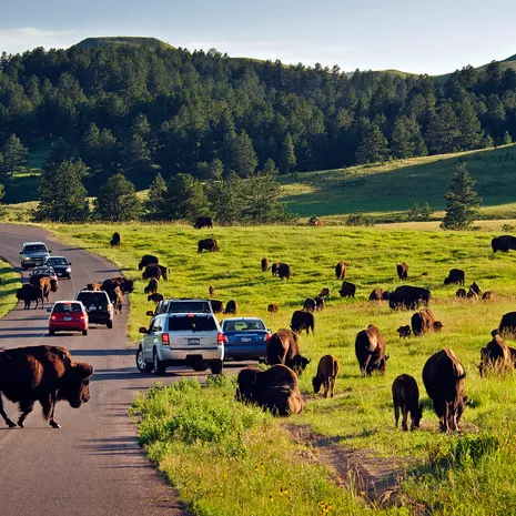 Amerika-Custard-State-Park-Buffalo