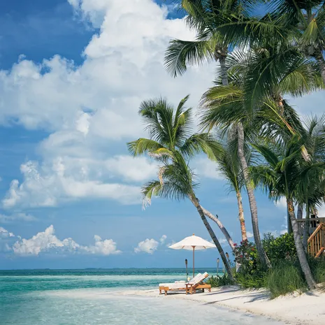 Amerika-Keys-Little-Palm-Island-Resort_1_518215