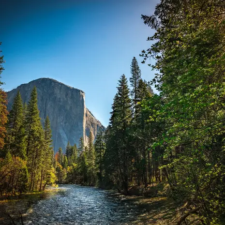 Yosemite National Park