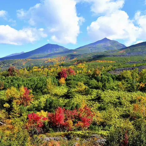 Berglandschap in Asahidake Onsen, Japan