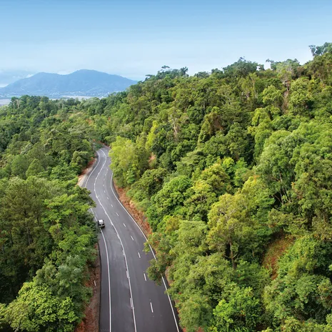 Het tropische regenwoud van Atherton Tablelands, Australië