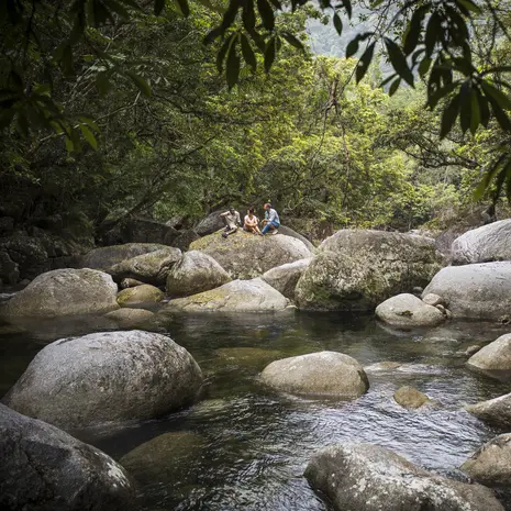 Het Daintree Rainforest is het oudste regenwoud ter wereld en gaat vloeiend over in de ongerepte stranden bij Cape Tribulation
