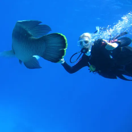 Bucketlist: duiken in het Great Barrier Reef