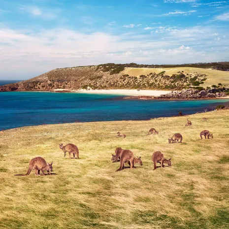 Kangaroo Island