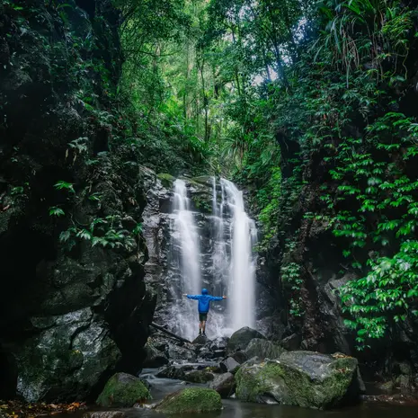 Australie-Lamington-Park-waterval_3_560022
