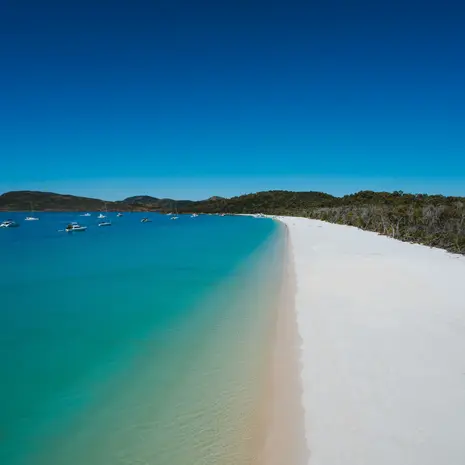 Het parelwitte zandstrand op Whitsunday Island, Australië - © Tourism Australia