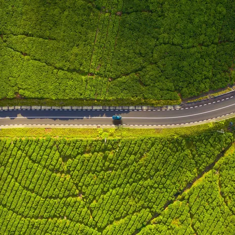 Rondreis over het eiland Mauritius per auto