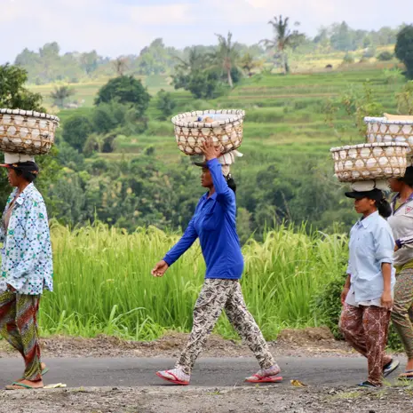 Locals in de rijstvelden van Indonesië