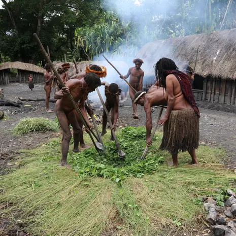 Baliemvallei rituelen Irian Jaya