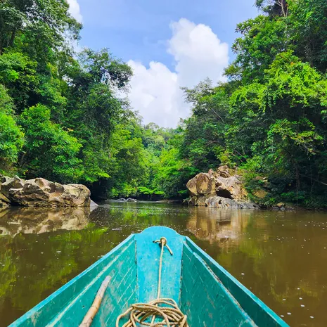 Bako National Park, Sarawak Maleisië