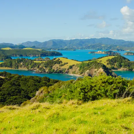 De uitzichten van Bay of Island in Nieuw-Zeeland