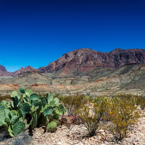 Afwisselende landschappen in het natuurgebied Big Bend, Texas, Amerika
