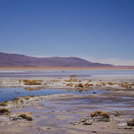 Uitzicht op het Avaroa Andean National Reserve in Bolivia