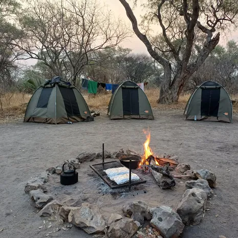 Botswana kampeersafari tenten