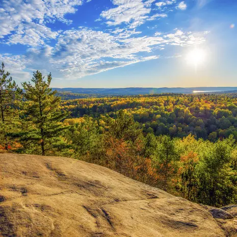 Uitzicht op Algonquin Provincial Park in Canada