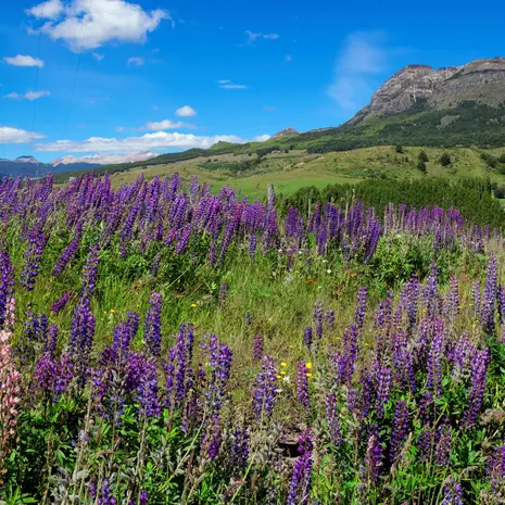 Coyhaique is de outdoor-hoofdstad van Patagonië met een spectaculaire ligging in een groene vallei tussen twee rivieren