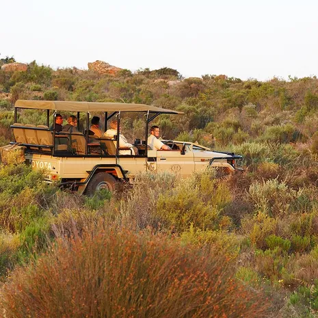 Op pad met de jeep bij Clanwilliam
