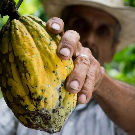 Top 5: leuk om te doen in Salento