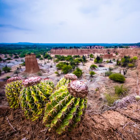 Onbekend Zuid-Colombia