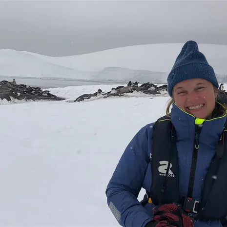 Cruise Antarctica