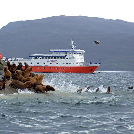 Cruise door Chili en spot fauna © Skorpios