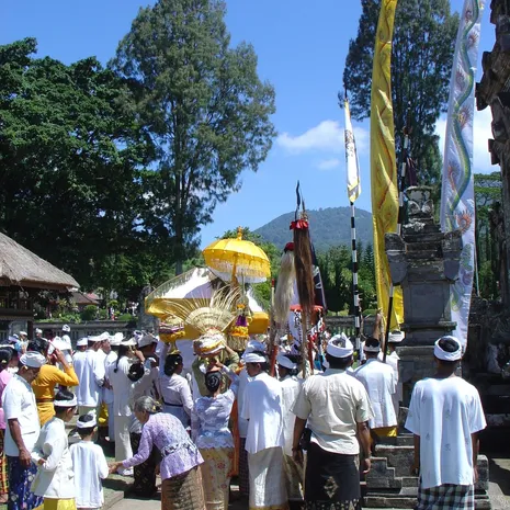Safari in  Amakhala wildreservaat