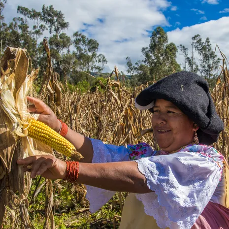 Vrouw aan het werk op het land in een dorp nabij Otavalo, Ecuador