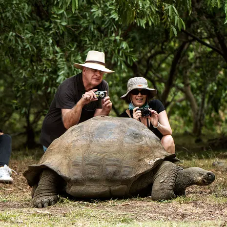Oog in oog met een reuzenschildpad op de Galapagos Eilanden