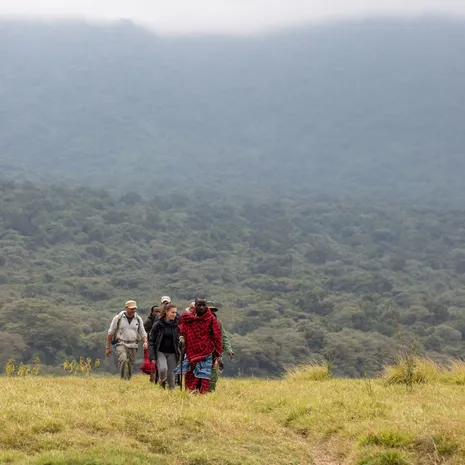 wandelsafari, Tanzania