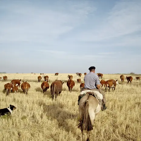 Finca Piedra is een unieke ervaring op een typisch Uruguayaans wijnlandgoed
