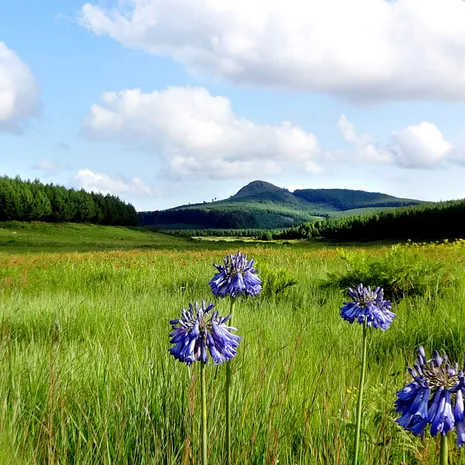 Het is volop genieten in de Ezulwini vallei